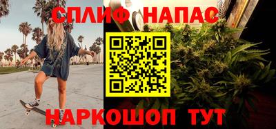 не бодяженный Гатчина