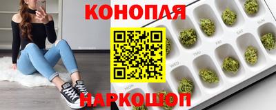 не бодяженный Гатчина